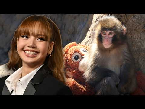 BLACKPINK's Lisa smiling and waving with an orange orangutan plush toy next to Panchi-Kun, a cartoon monkey character.