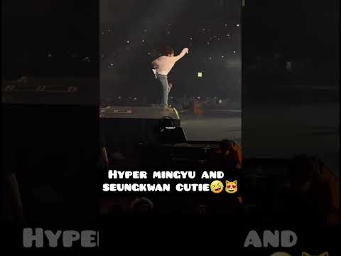 SEVENTEEN's Mingyu and Seungkwan smiling and interacting playfully